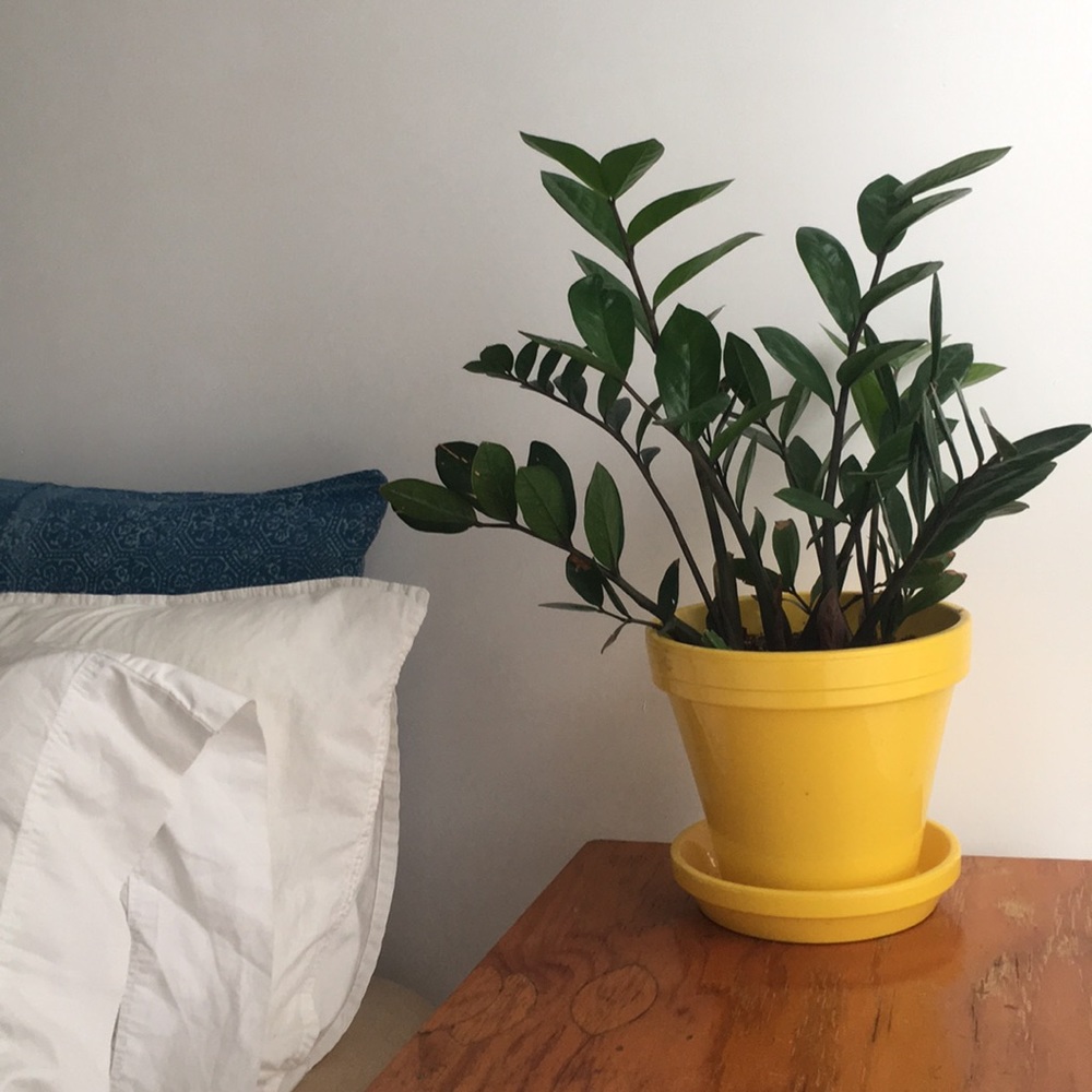 Meet your Posher, Charlotte